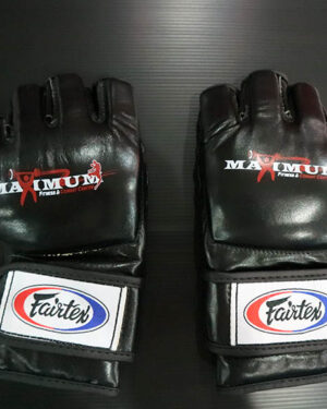 Fairtex Pro MMA Glove