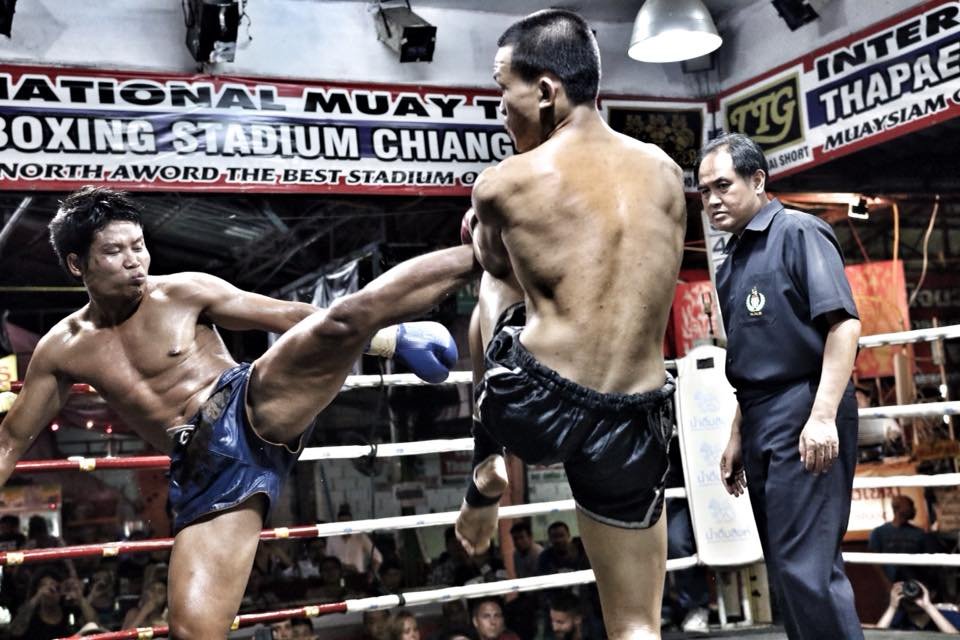 Thapae Boxing Stadium one of the best places to watch muay thai fights in thailand - maximum fitness phuket
